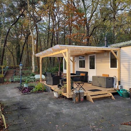 Chalet Met Veranda Aan Bosrand Vledder Esterno foto