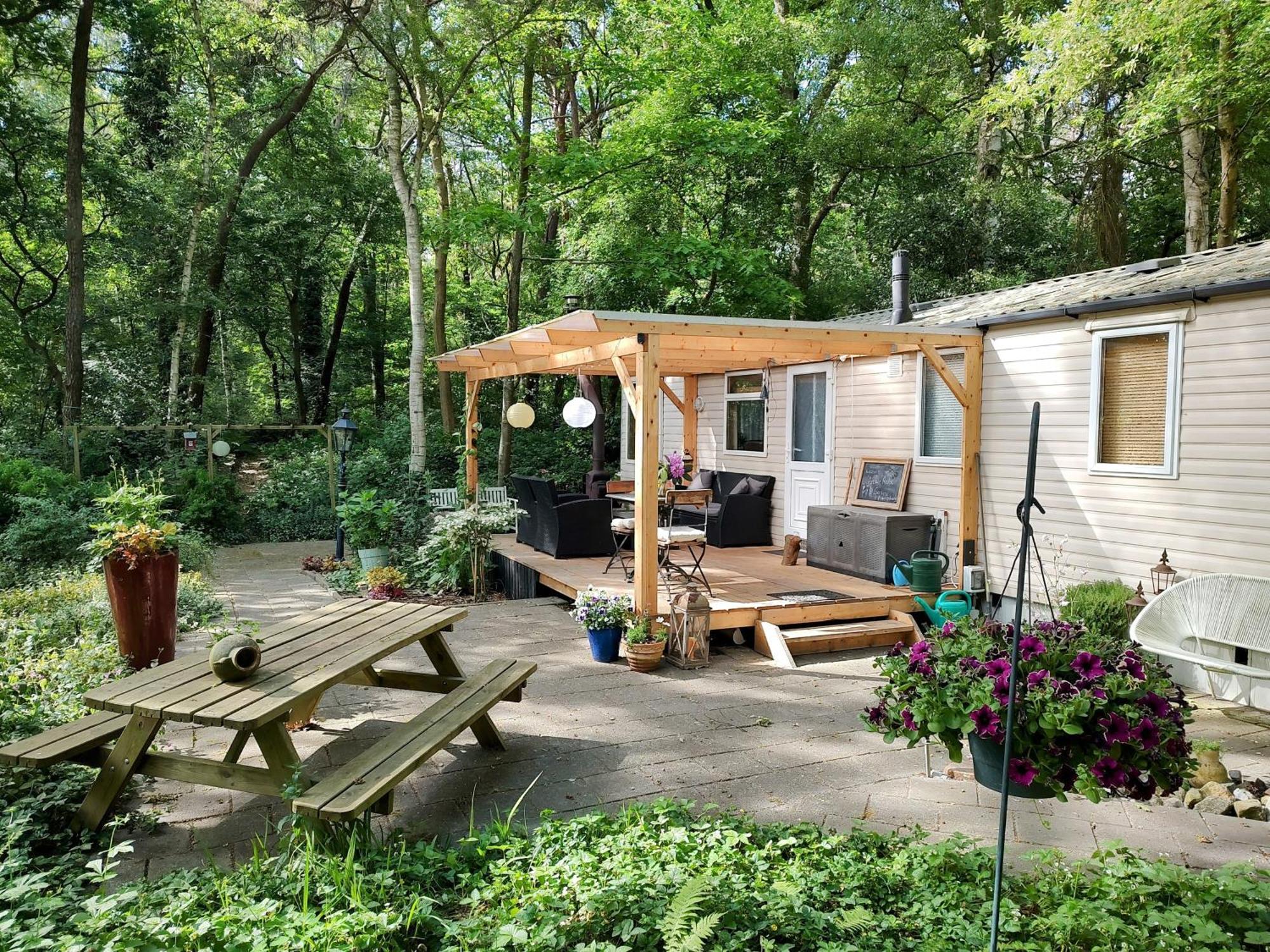 Chalet Met Veranda Aan Bosrand Vledder Esterno foto
